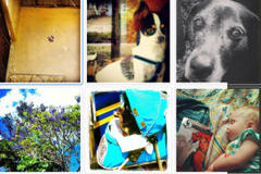 Tag Instagram Photos #GulfportPatch for Insta-Fame and Fun