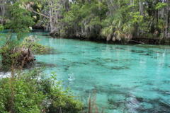 Why It's Important to Protect Our Springs