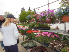 Morton Grove Farmer's Market Springs Forward